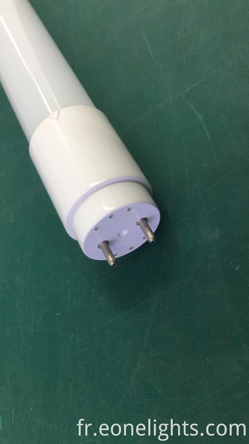 Chine Factory Sights IP20 G13 1200mm T8 LED Tube